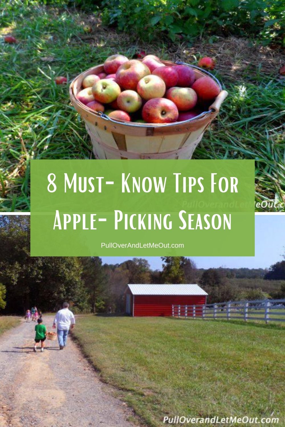 8 MustKnow Tips For Apple Picking Season