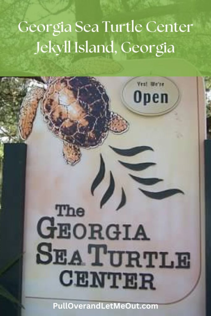 a pin for the Georgia Sea Turtle Center