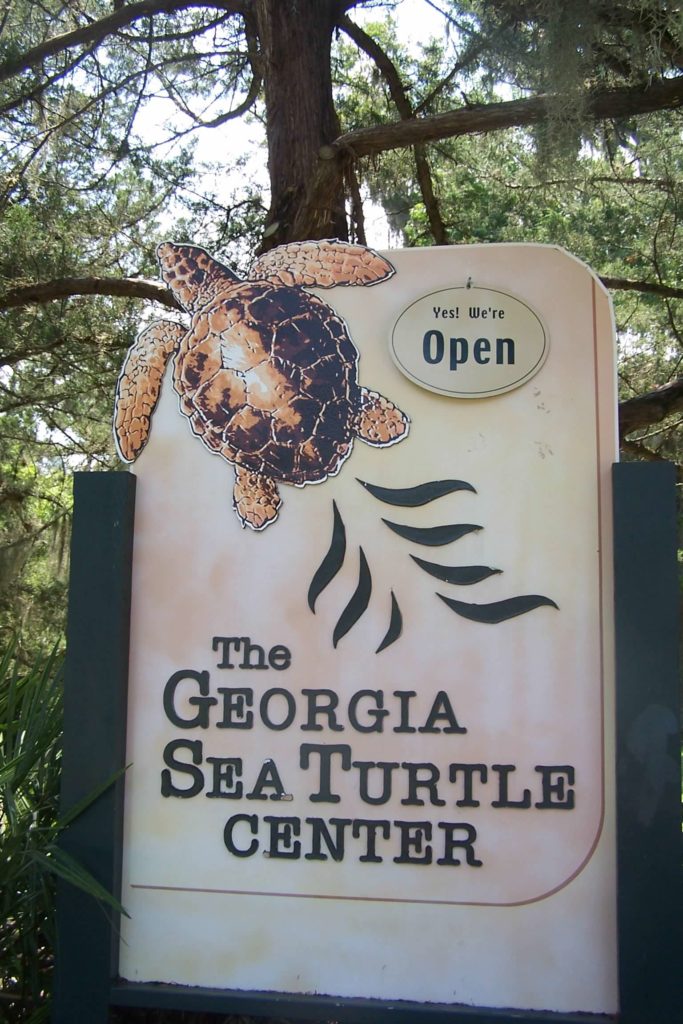 Georgia Sea Turtle Center sign