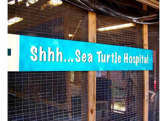 a sign that says shhh sea turtle hospital