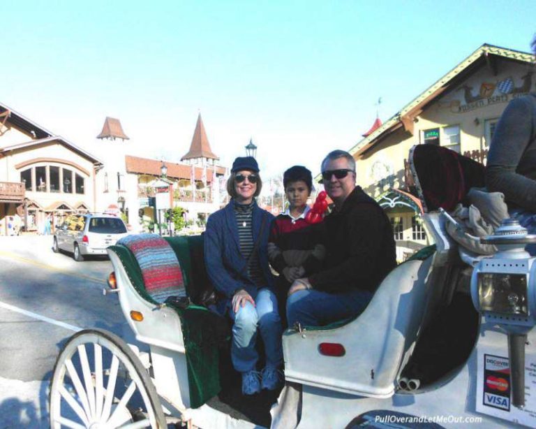 a family in a horse drawn carriage in Helen, GA PullOverAndLetMeOut