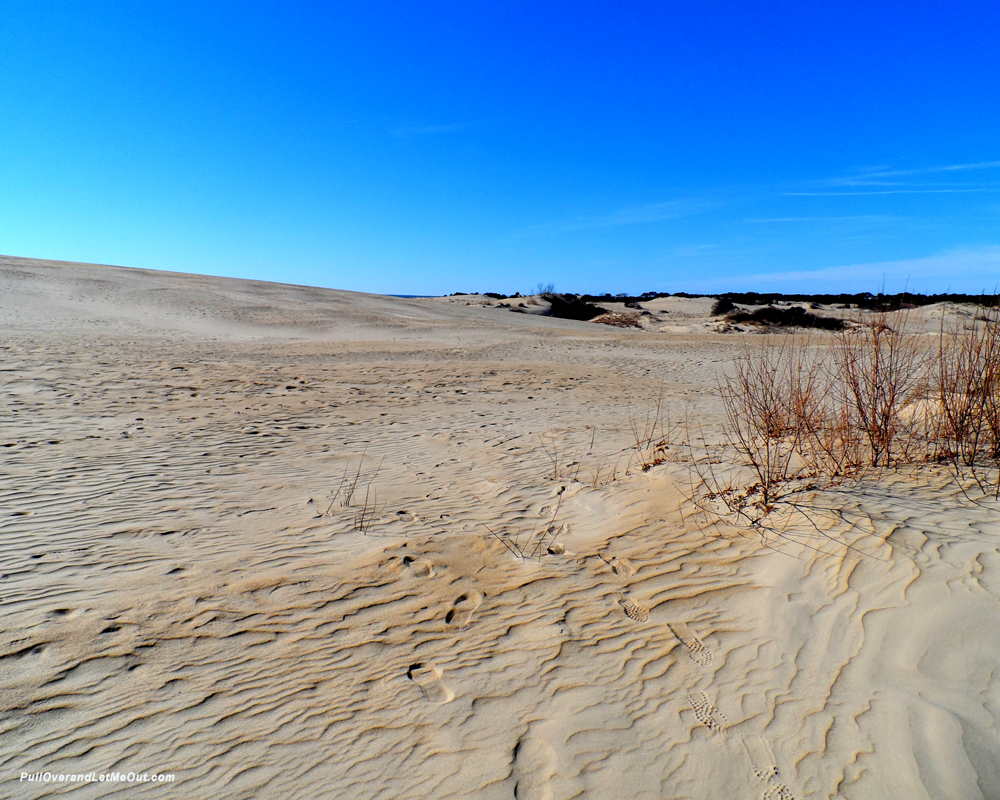 Blue skies over the dunes at Jockey's Ridge State Park
