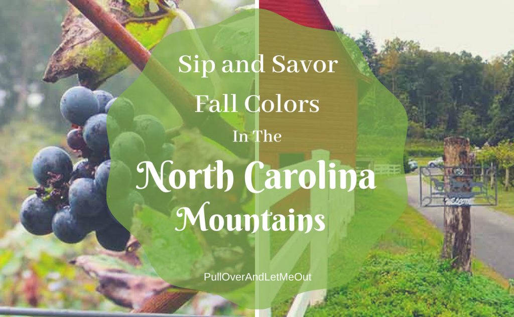 Fall Colors North Carolina Mountains PullOverAndLetMeOut