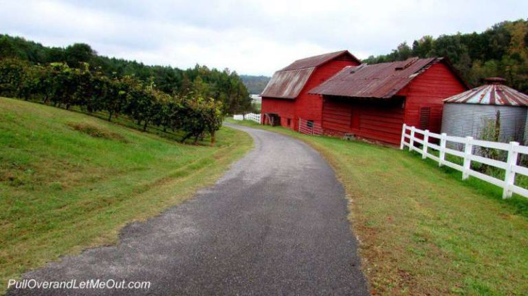 A bright red barn at South Creek Vineyards and Winery.