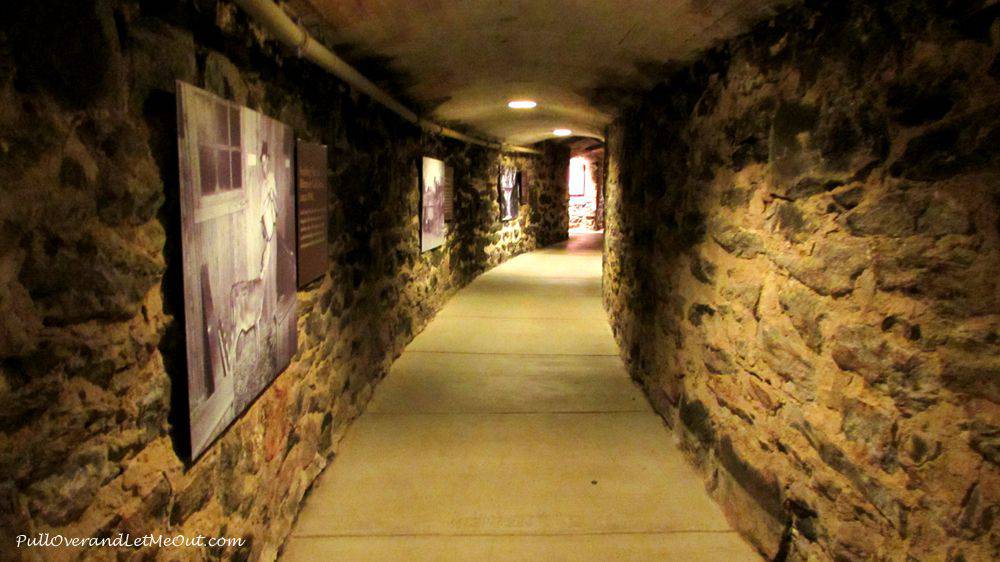 wine-cellar-Biltmore-Winery