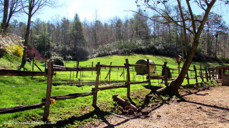 more-of-Yellow-Branch-farm