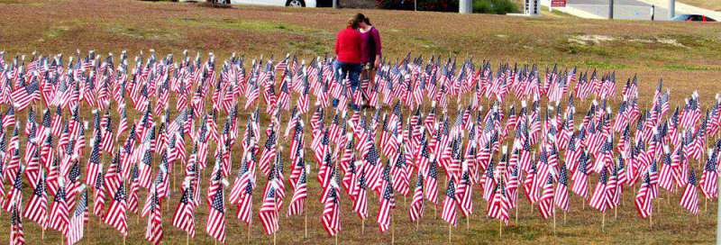 a field with American flags at the Airborne & Special Operations Museum in Fayetteville, NC PullOverAndLetMeOut