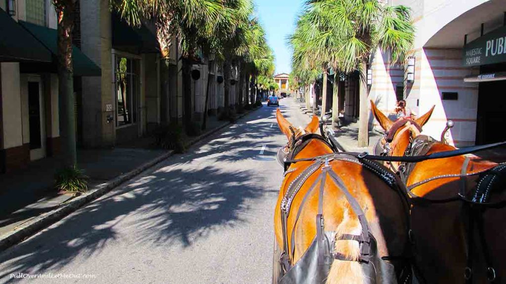 two mules pulling a carriage down the street in Charleston