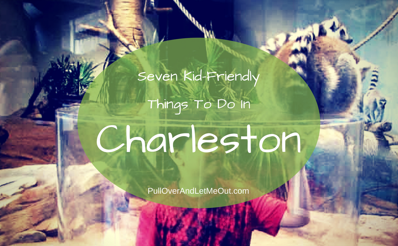 Seven Kid-Friendly Things To Do In Charleston PullOverAndLetMeOut