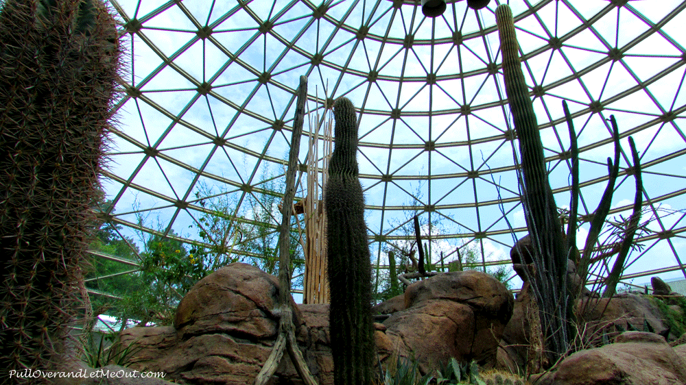 inside-the-dome