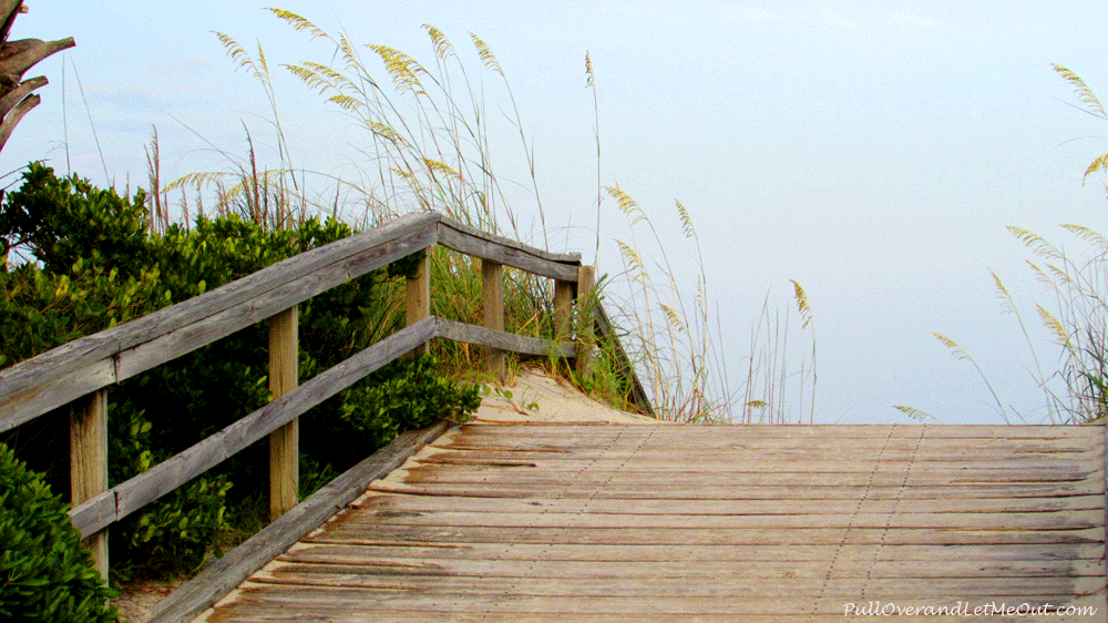 ocean-bridge-at-Pawley's