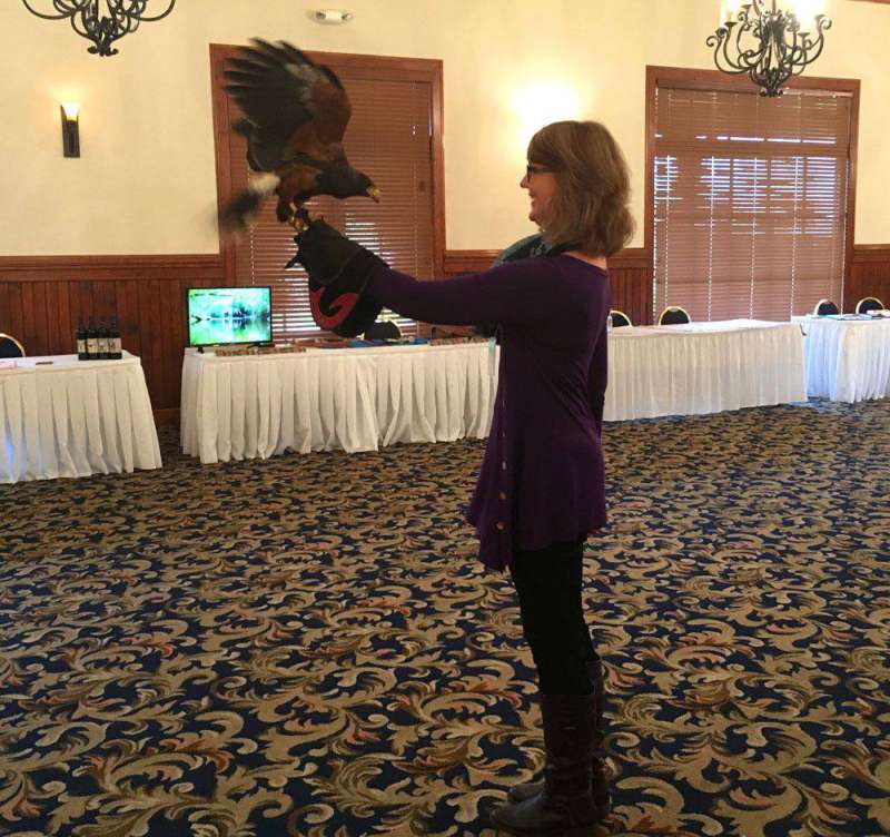 Falconry-at-Dillard-House-F