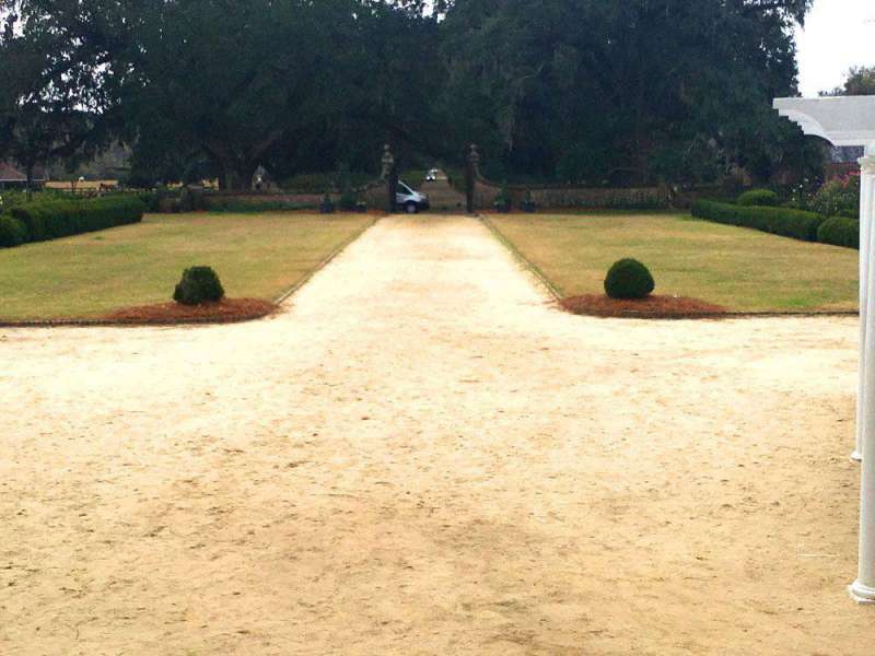 sand walkway leading to the driveway at Boone Hall Plantation