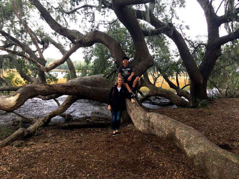 tree-at-Boone-Hall-Plantati tree-at-Boone-Hall-Plantati