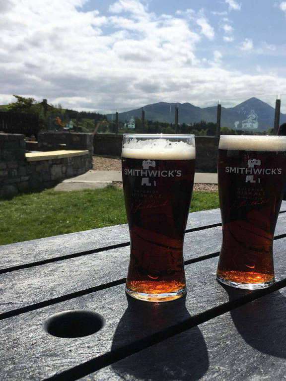 two pints in front of a scenic view of a mountain