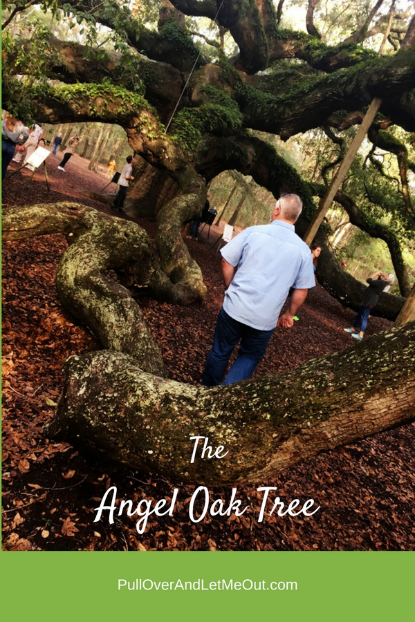 Angel Oak PullOverAndLetMeOut