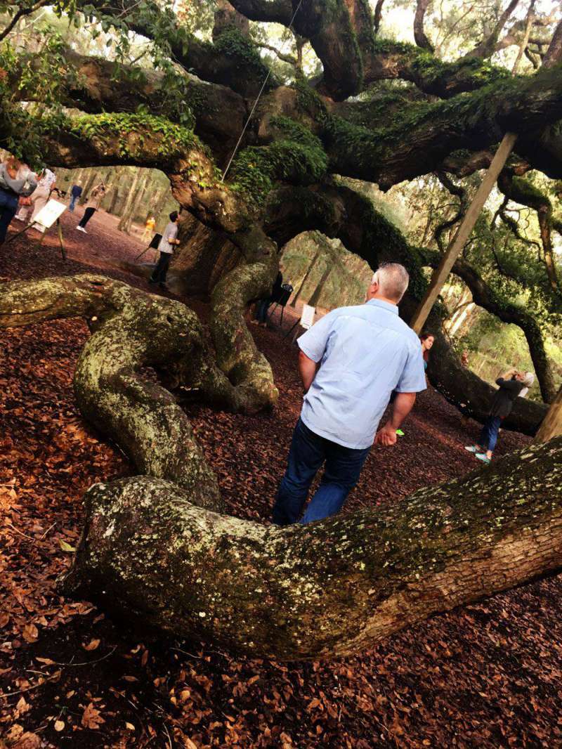 exploring-Angel-Oak-Johns-I