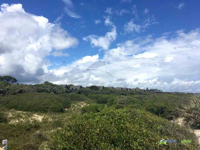 coast Kiawah Island PullOverandLetMeOut