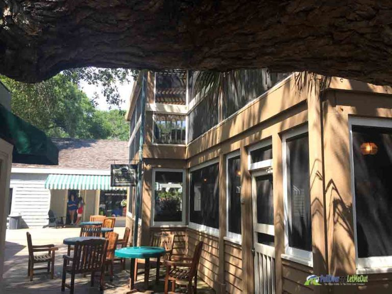 Kiawah Island A FirstTimer's Guide