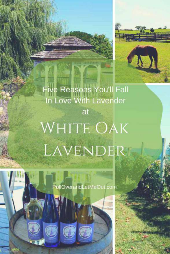 Five Reasons You'll Fall In Love With Lavender White Oak Lavender PullOverandLetMeOut