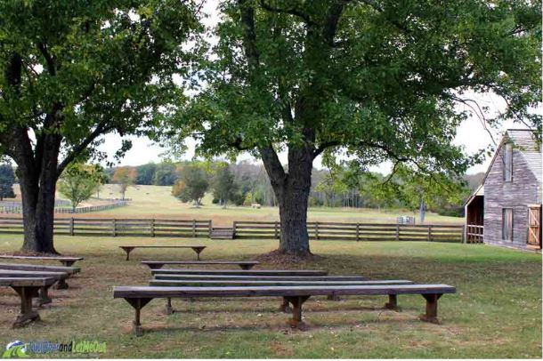 a bench in front of several tall trees