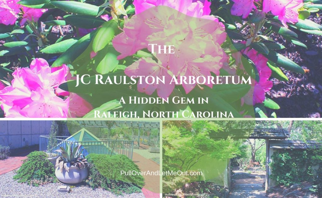 JC Raulston Arboretum cover PullOverAndLetMeOut