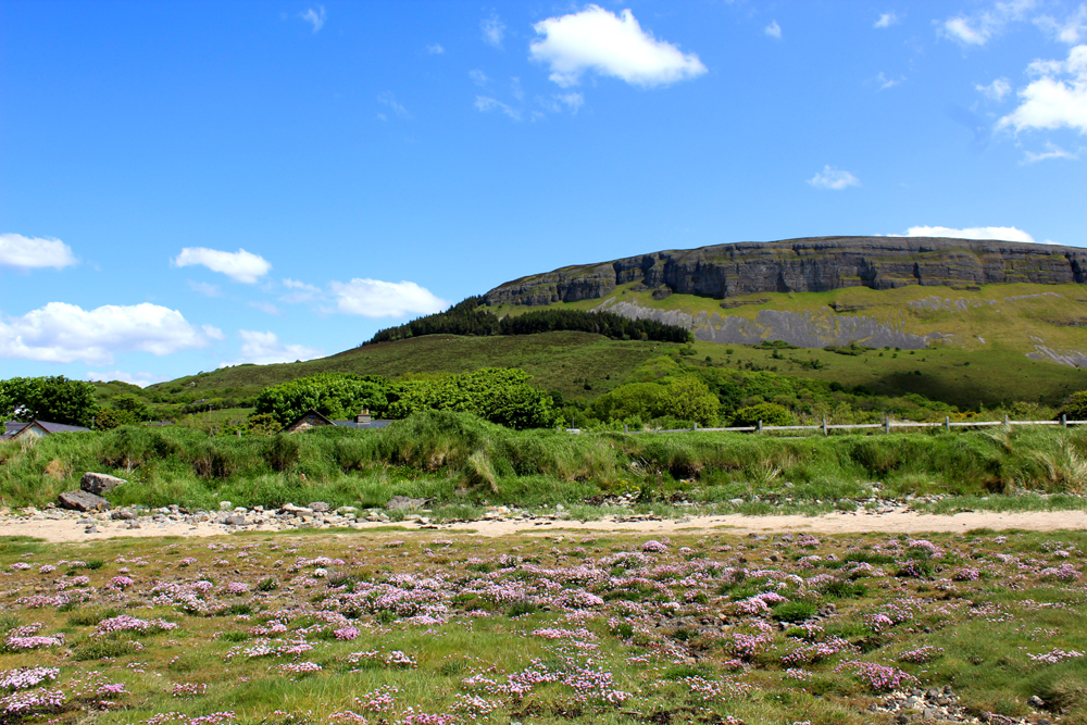 Knocknarea Co. Sligo PullOverAndLetMeOut