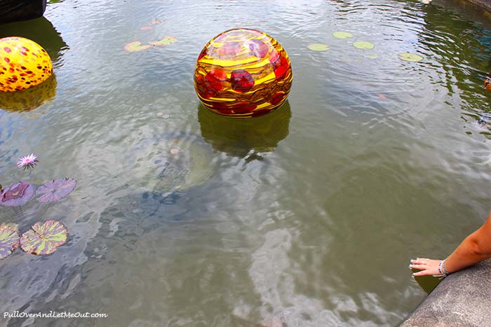 Biltmore-Chihuly-Niijima-Float-PullOverAndLetMeOut