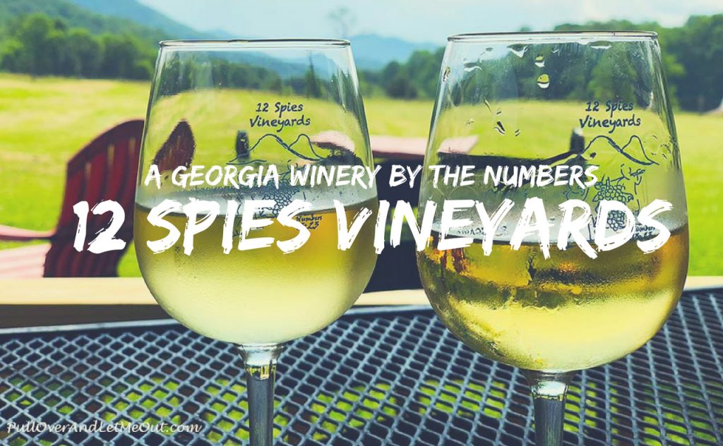 Georgia Winery 12 Spies Vineyards By The Numbers PullOverAndLetMeOut.com