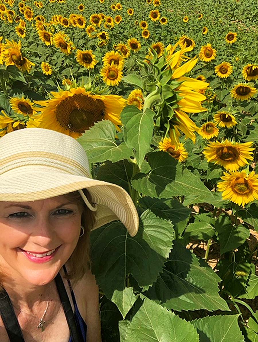 AM-hat-Dix-Sunflower-Field-Raleigh-PullOverAndLetMeOut