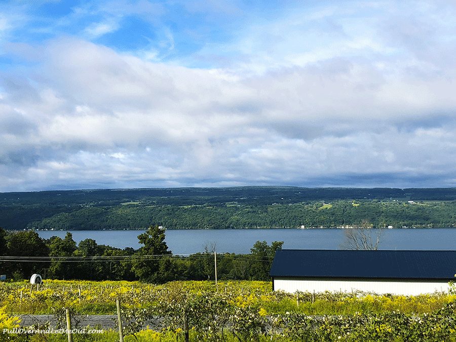 View-of-Seneca-Lake-Finger-Lakes-Distilling-PullOverAndLetMeOut