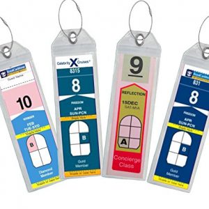 Cruise Luggage Tag Holder Zip Seal & Steel for Royal Caribbean & Celebrity Cruise (Clear - 4 Pack)