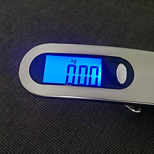 Household and Gift Portable Scale for Travel Digital Hanging 110 Lbs Luggage Scale Silver with Temperature Sensor and Tare Function 