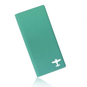 DANDELION Travel Passport Wallet & Boarding Pass Holder with RFID Blocking (Pink Rose) Cool Traveling Accessory and…