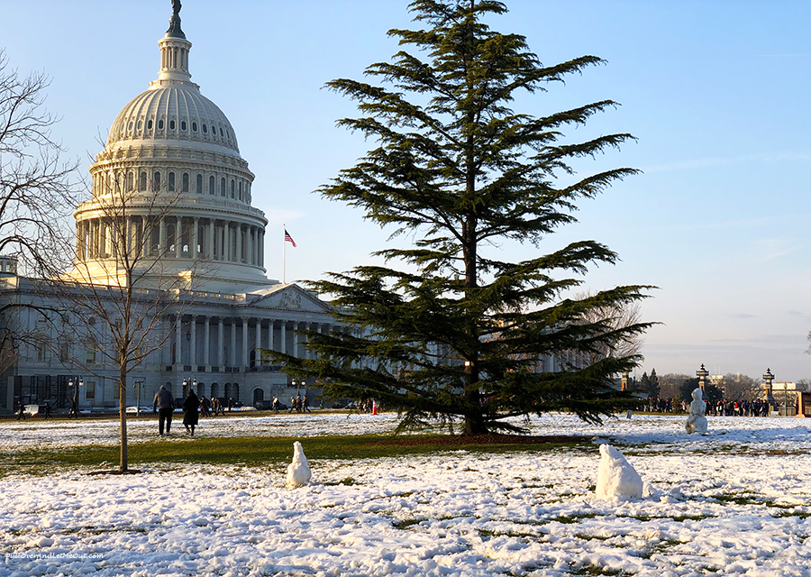 Why I Love Washington, DC in Winter