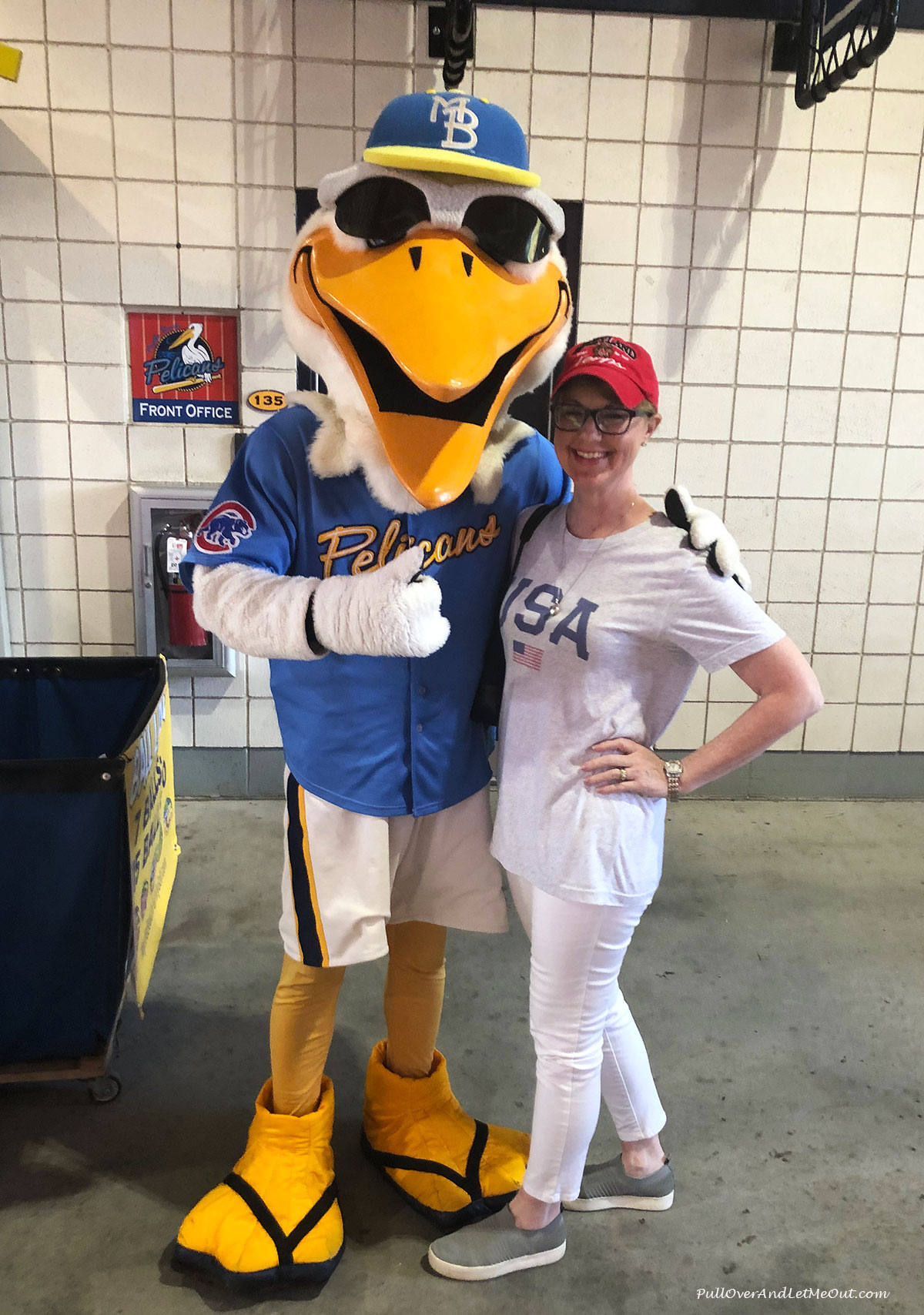 Myrtle Beach Pelicans A Day At The Ballpark