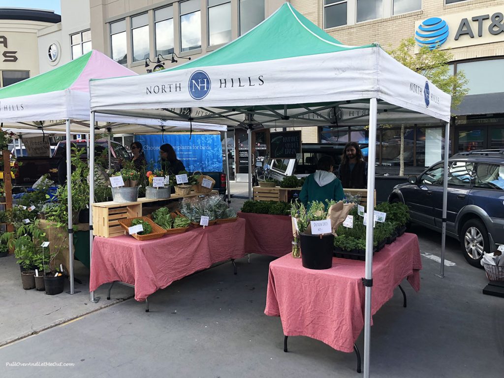 Farmers-Market-Midtown-North-Hills-PullOverAndLetMeOut