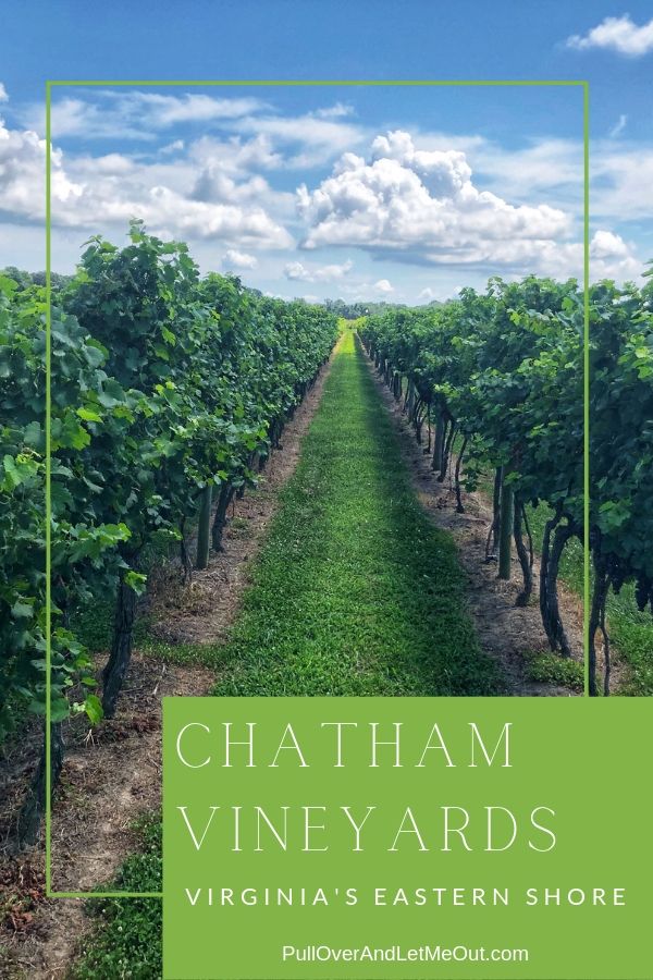 Chatham Vineyards on Church Creek