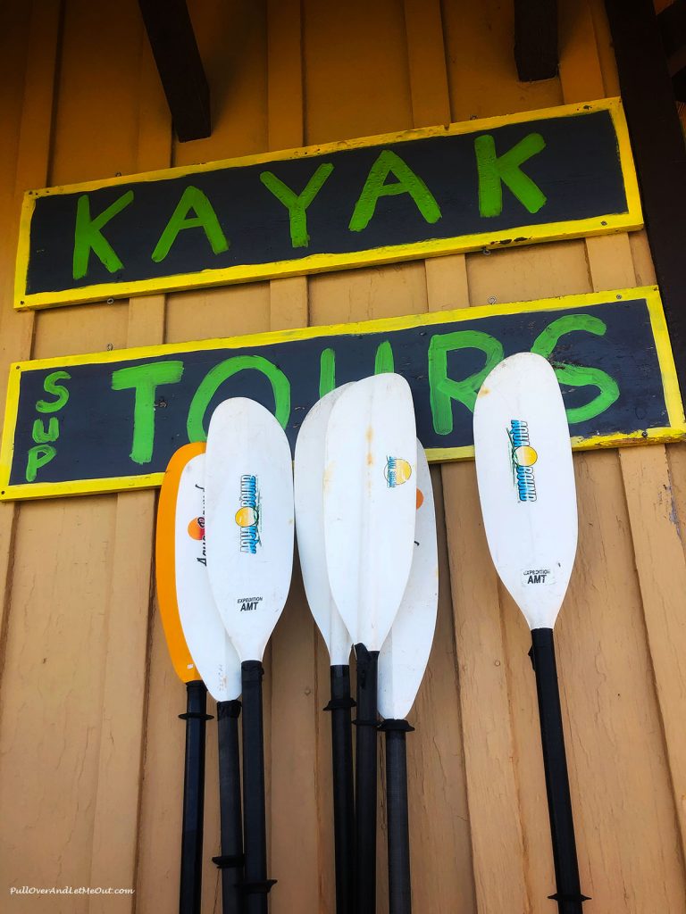 Kayak paddles. PullOverAndLetMeOut