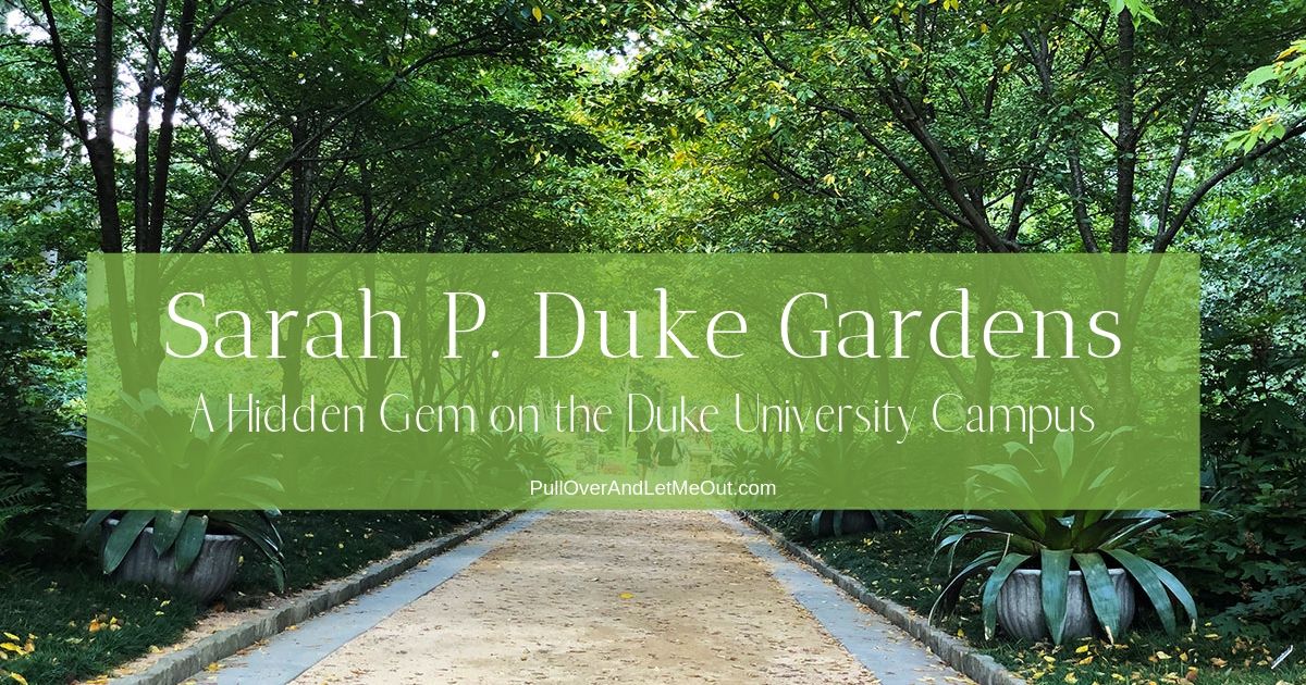 Sarah P Duke Gardens A Hidden Gem On The Duke University Campus