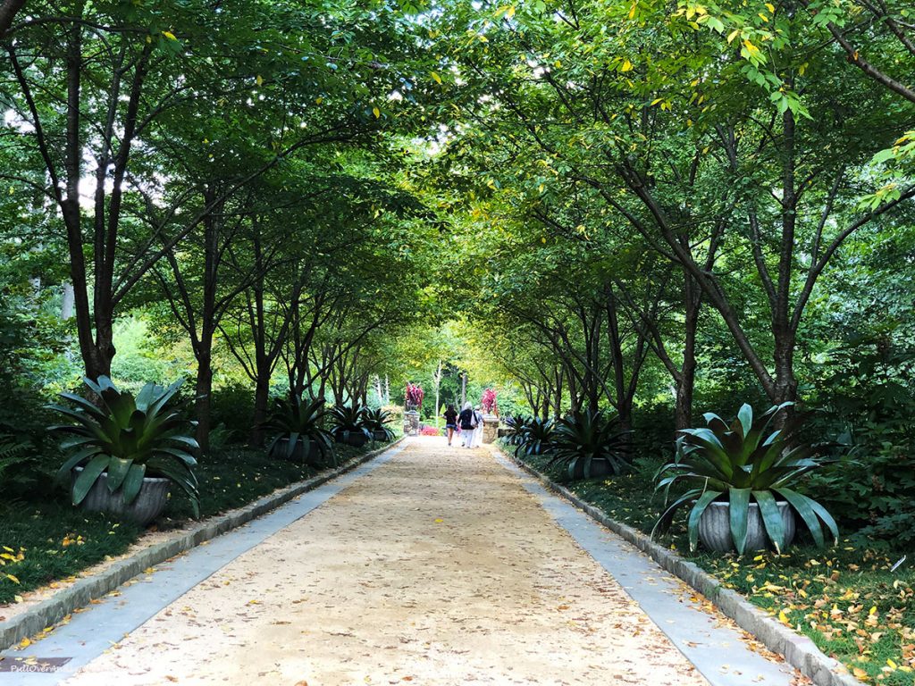 A pathway at Sarah P. Duke Gardens. PullOverAndLetMeOut
