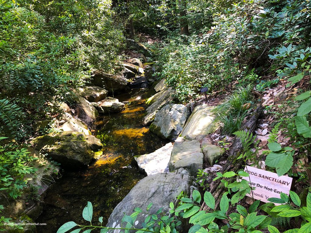 A frog sanctuary at Sarah P. Duke Gardens