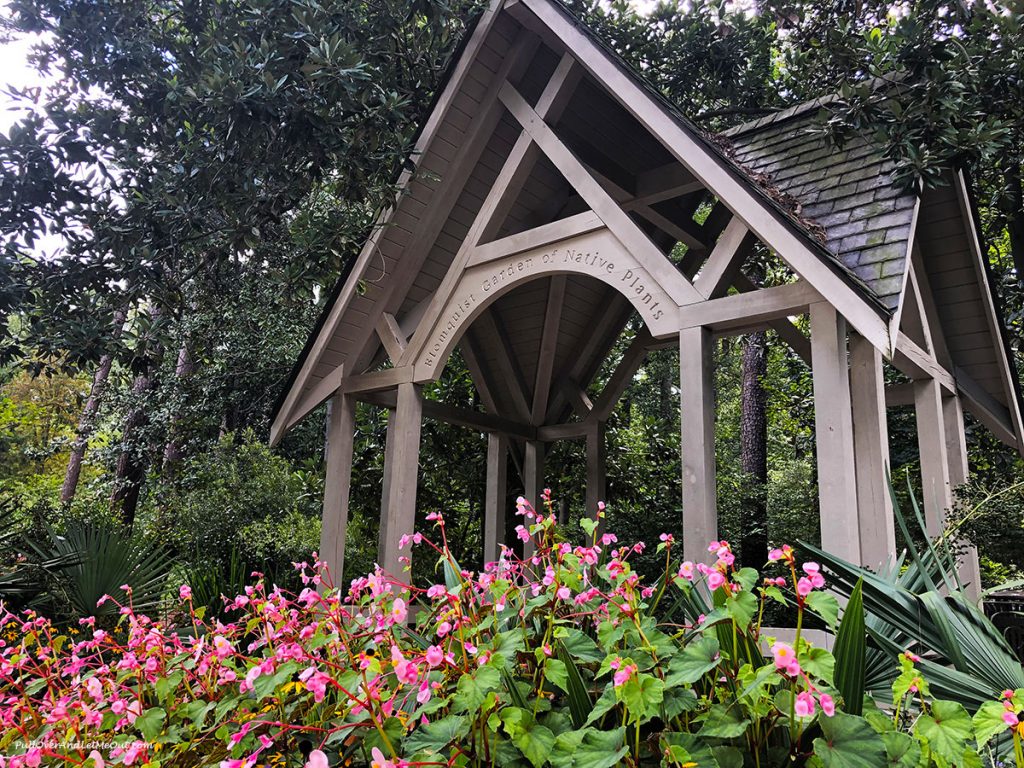 Grotto at the Sarah P. Duke Gardens. PullOverAndLetMeOut