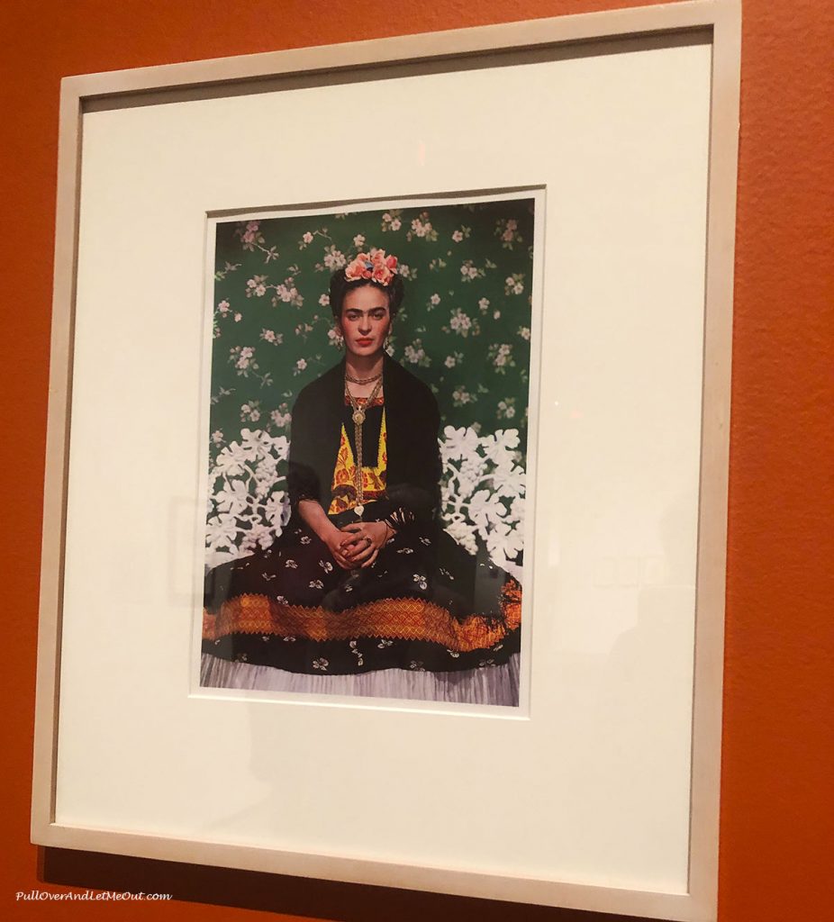 Frida Kahlo portrait