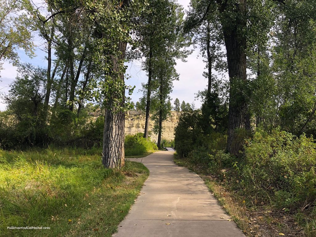 A wooded walkway