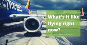 photo of an airplane engine and wing