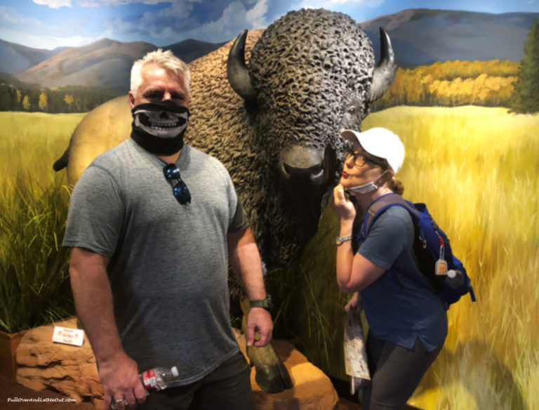 Couple wearing mask posing with a fake buffalo