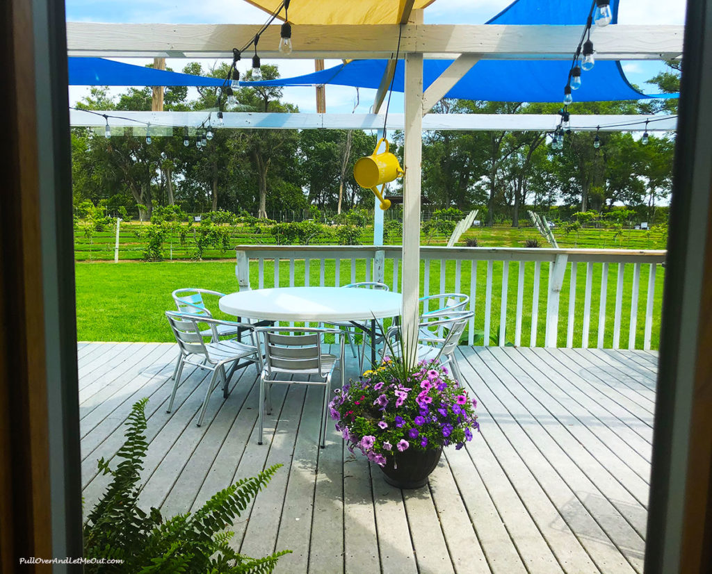 window view of a patio at a winery