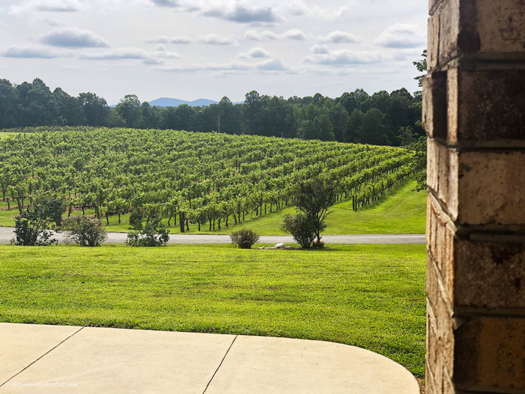 view of vineyard at Stony Knoll Vineyards