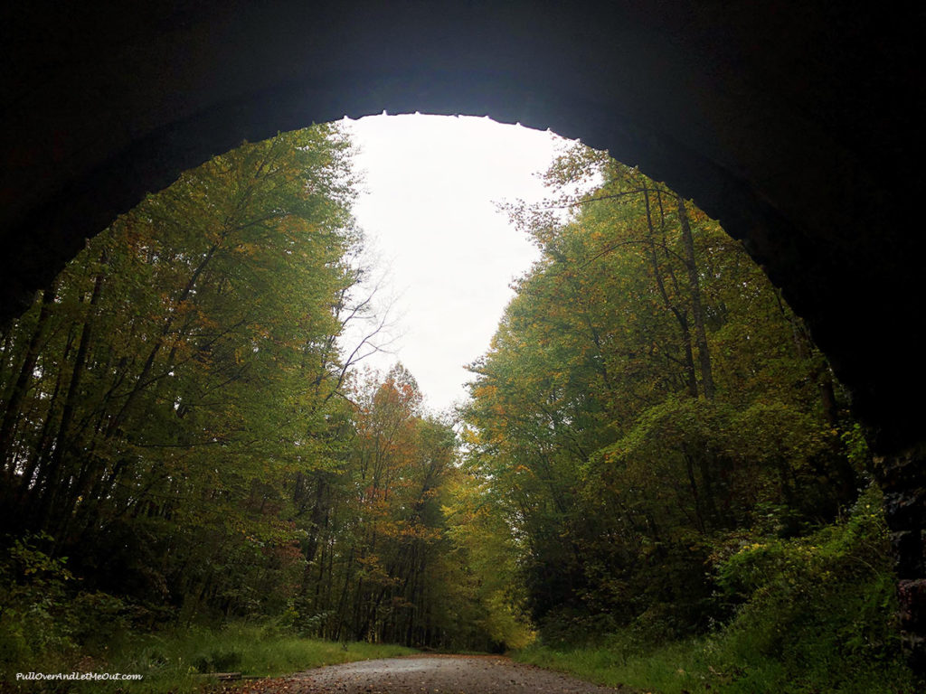 View of trees from the inside of a dark tunnel